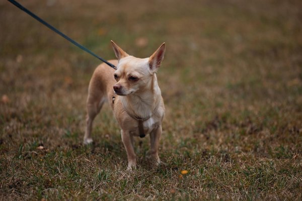 How Has UK Technology Revolutionized the Healthcare Sector?